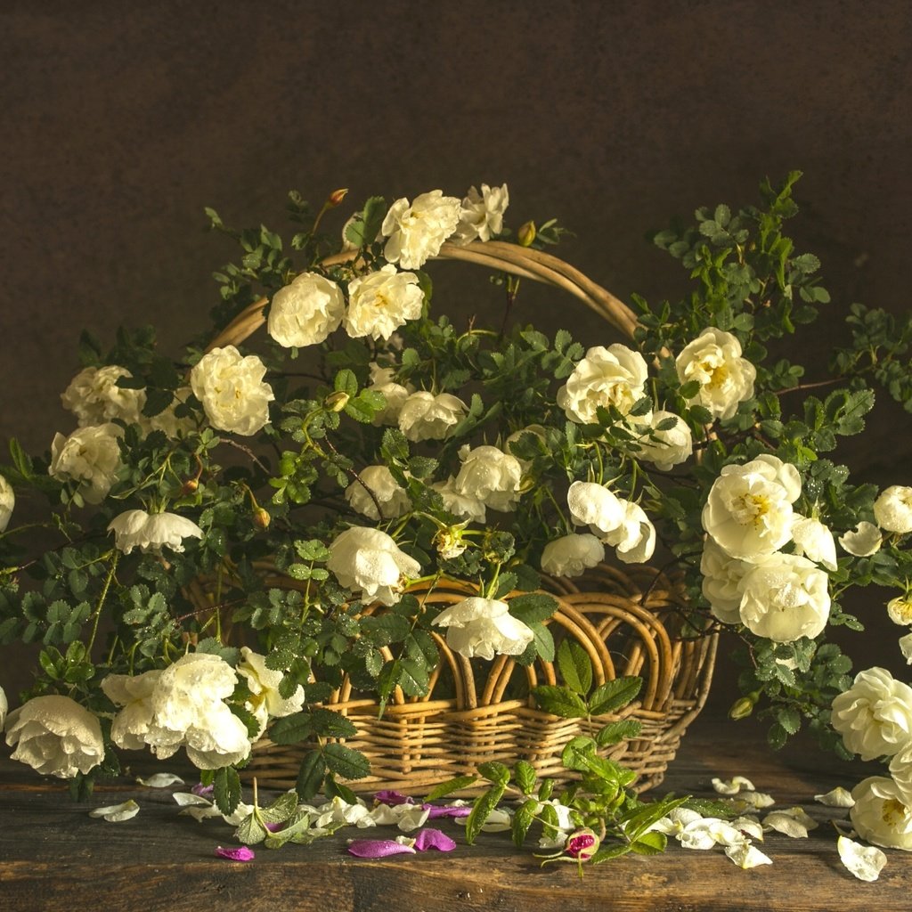 Обои розы, букет, корзина, композиция, roses, bouquet, basket, composition разрешение 2100x1399 Загрузить