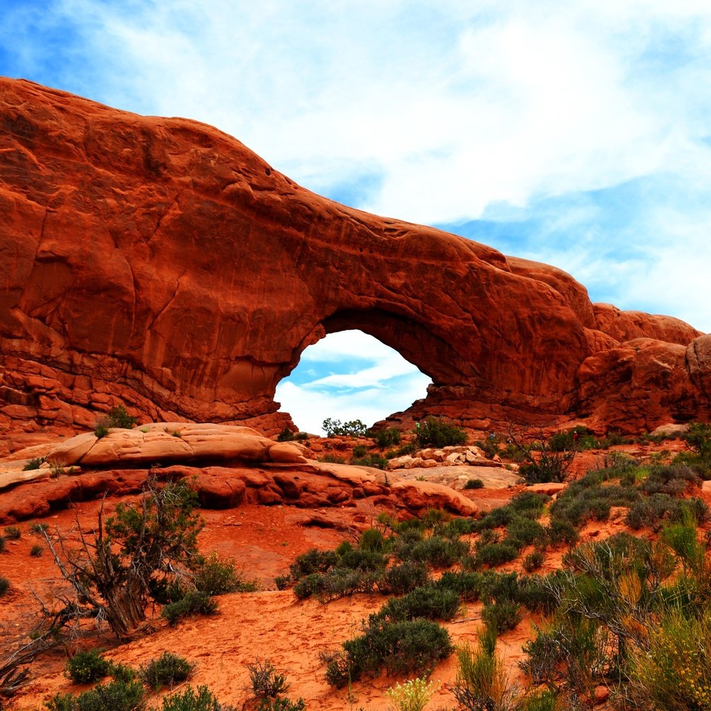 Обои небо, скалы, природа, каньон, арка, the sky, rocks, nature, canyon, arch разрешение 4410x2960 Загрузить