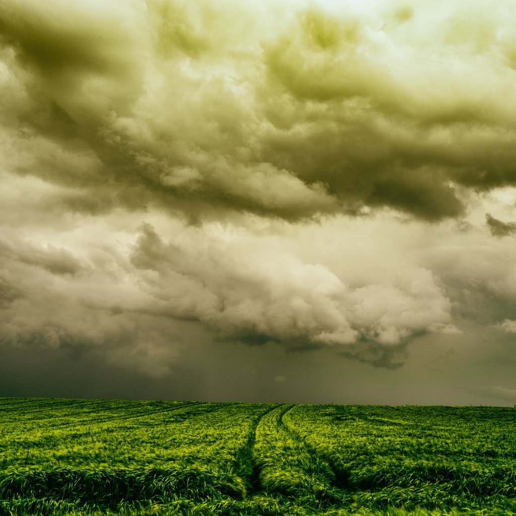 Обои небо, природа, поле, the sky, nature, field разрешение 2048x1365 Загрузить