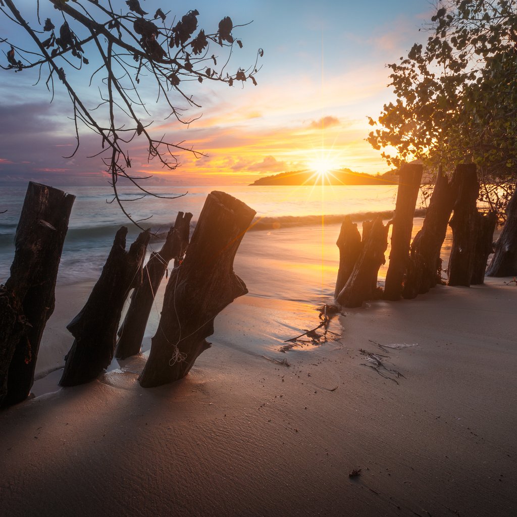 Обои природа, забор, берег, закат, пейзаж, море, утро, песок, пляж, nature, the fence, shore, sunset, landscape, sea, morning, sand, beach разрешение 3000x1924 Загрузить