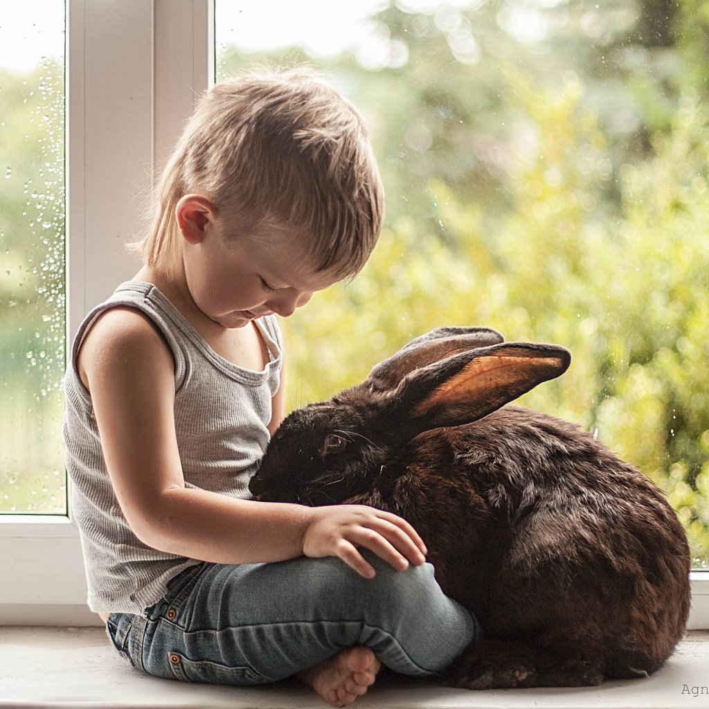 Обои ребенок, кролик, мальчик, друзья, child, rabbit, boy, friends разрешение 2048x1332 Загрузить