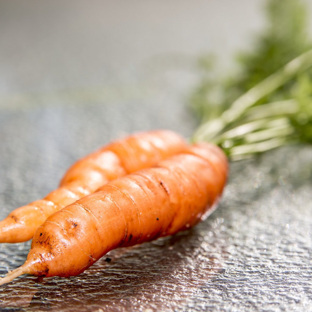 Обои макро, овощи, морковь, macro, vegetables, carrots разрешение 2048x1365 Загрузить