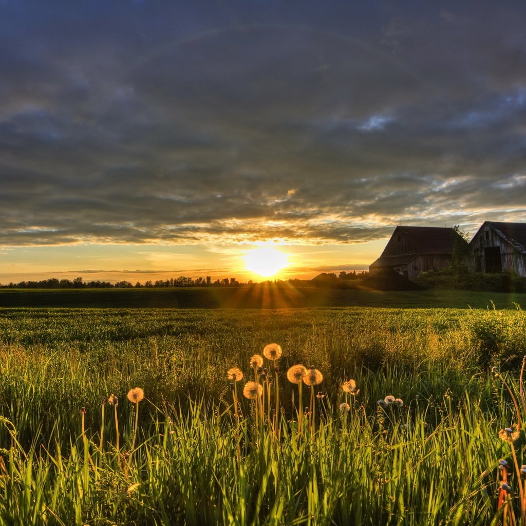 Обои закат, поле, лето, дом, sunset, field, summer, house разрешение 2560x1685 Загрузить