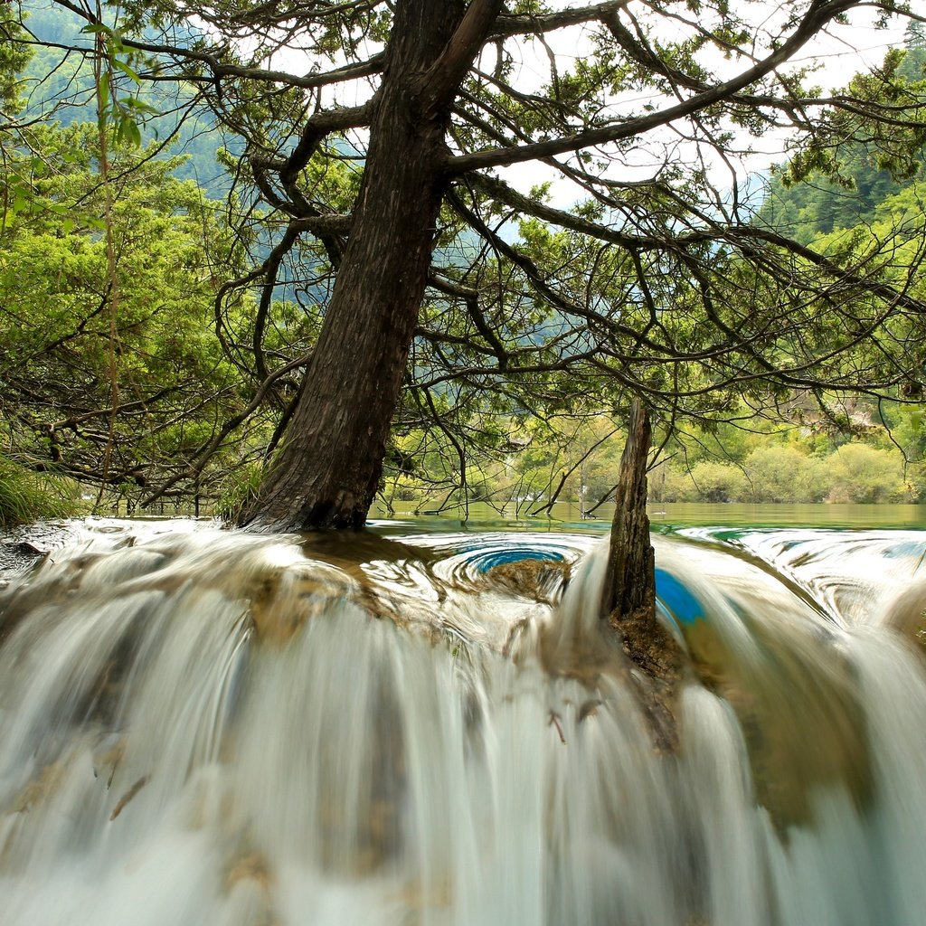 Обои деревья, река, лес, водопад, китай, jiuzhaigou national park, trees, river, forest, waterfall, china разрешение 2880x1920 Загрузить