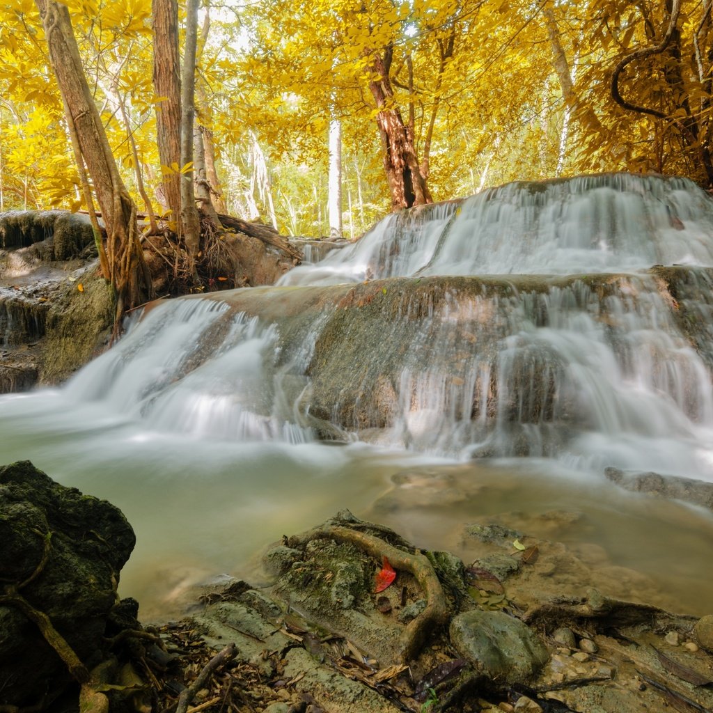 Обои деревья, природа, лес, водопад, осень, huaymaekamin, trees, nature, forest, waterfall, autumn разрешение 3100x2053 Загрузить