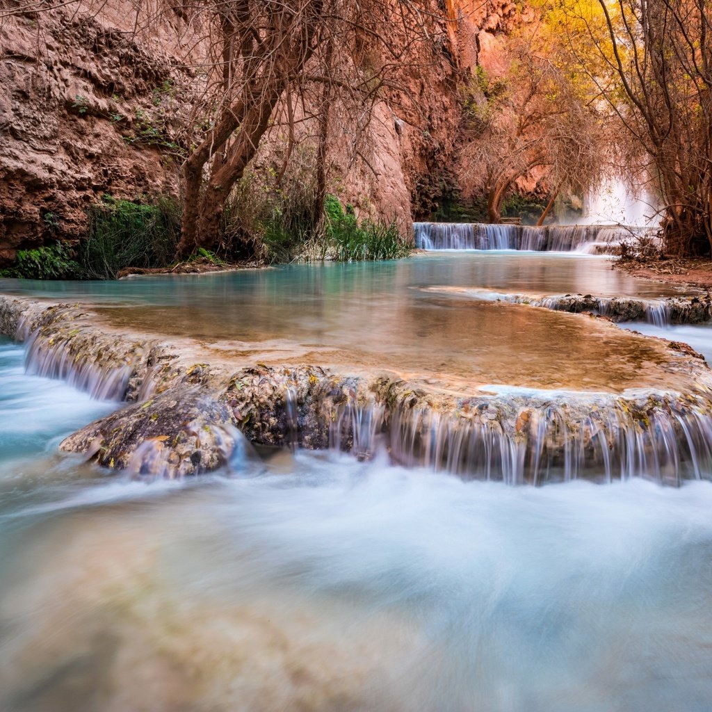 Обои деревья, grand canyon, каскад, река, штат аризона, скалы, havasupai, природа, michael wilson, ручей, водопад, каньон, сша, trees, cascade, river, arizona, rocks, nature, stream, waterfall, canyon, usa разрешение 2880x1923 Загрузить