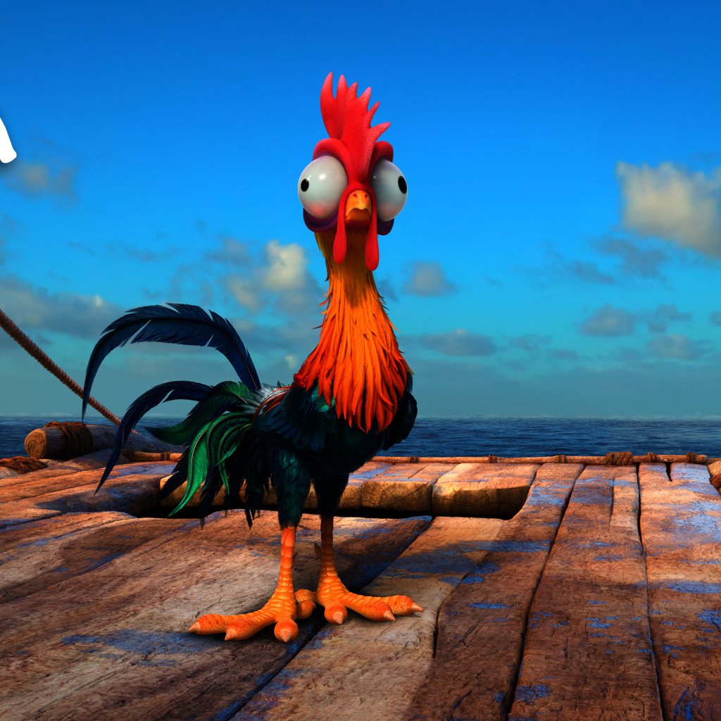 Обои дисней, моана, heihei, хей-хей, disney, moana, hey-hey разрешение 3840x1608 Загрузить