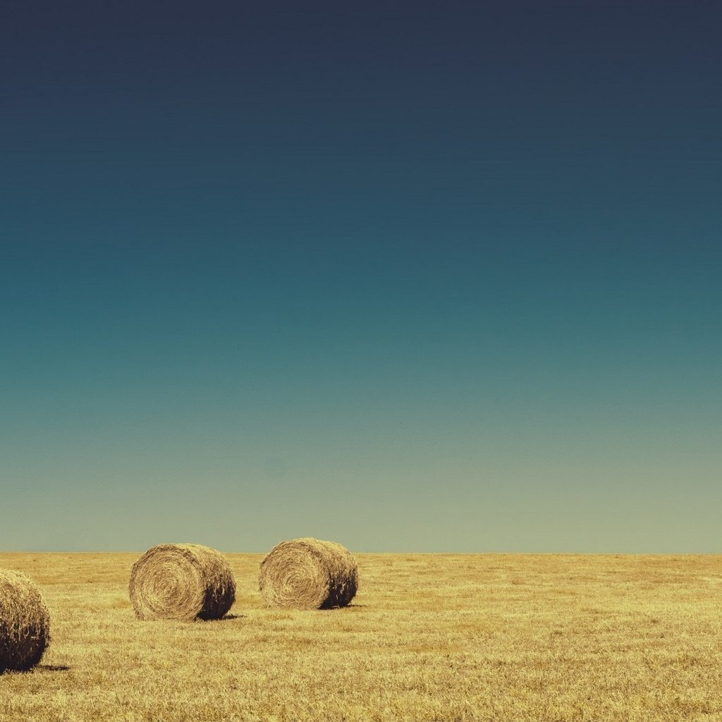 Обои небо, поле, горизонт, сено, тюки, рулоны, the sky, field, horizon, hay, bales, rolls разрешение 1920x1200 Загрузить