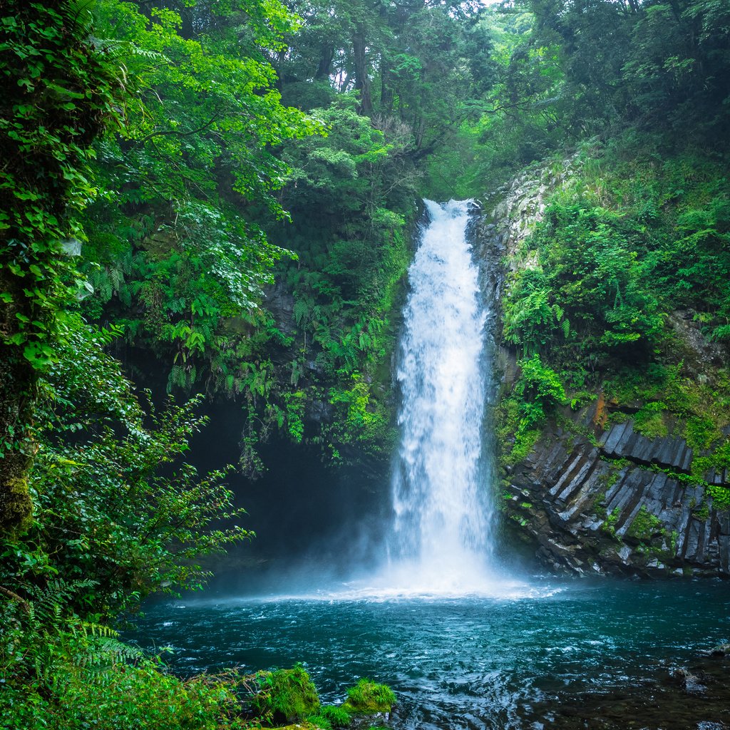 Обои природа, лес, водопад, япония, nature, forest, waterfall, japan разрешение 3840x2400 Загрузить