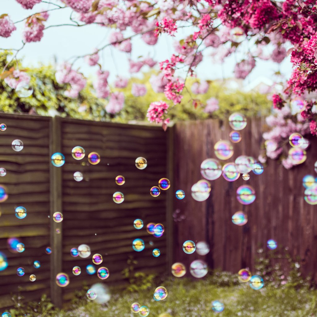 Обои цветы, забор, весна, двор, мыльные пузыри, flowers, the fence, spring, yard, bubbles разрешение 2048x1365 Загрузить