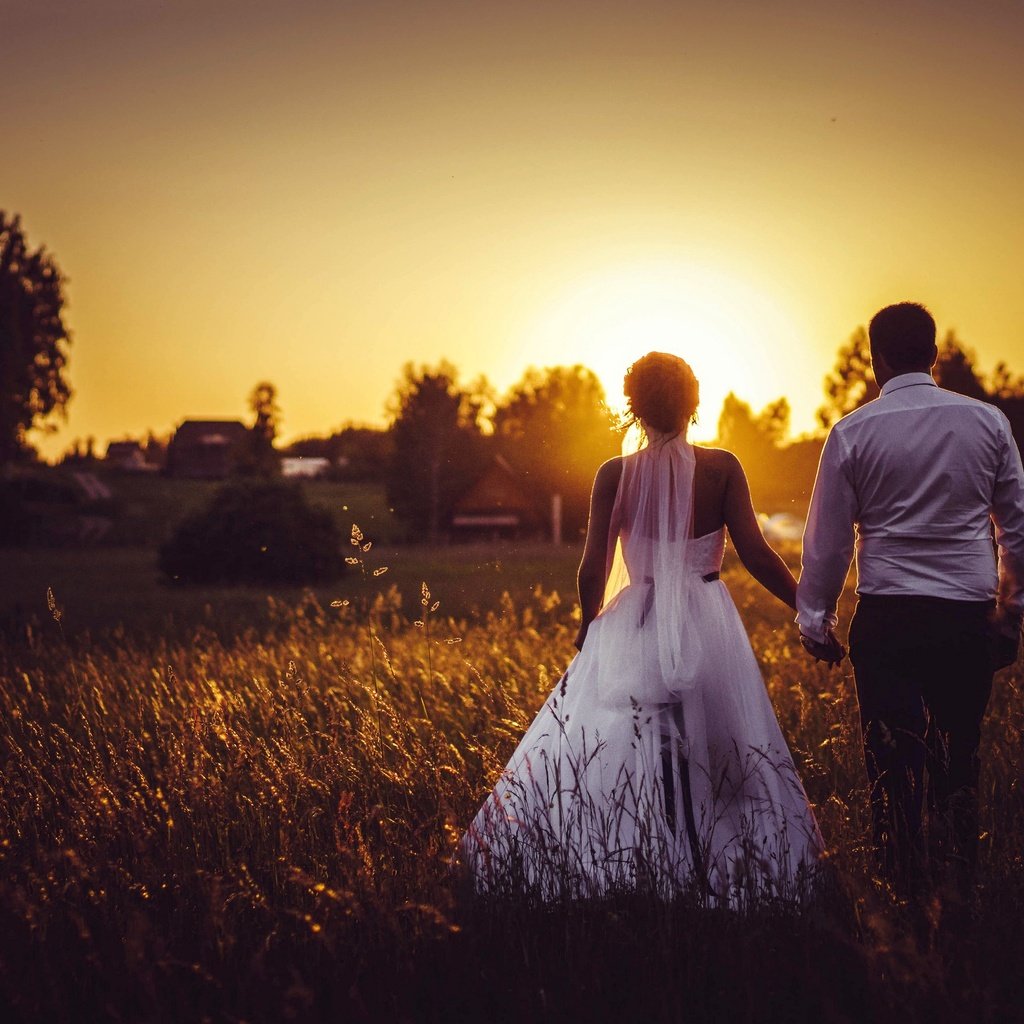 Обои закат, поле, жених, свадьба, невеста, sunset, field, the groom, wedding, the bride разрешение 2880x1920 Загрузить