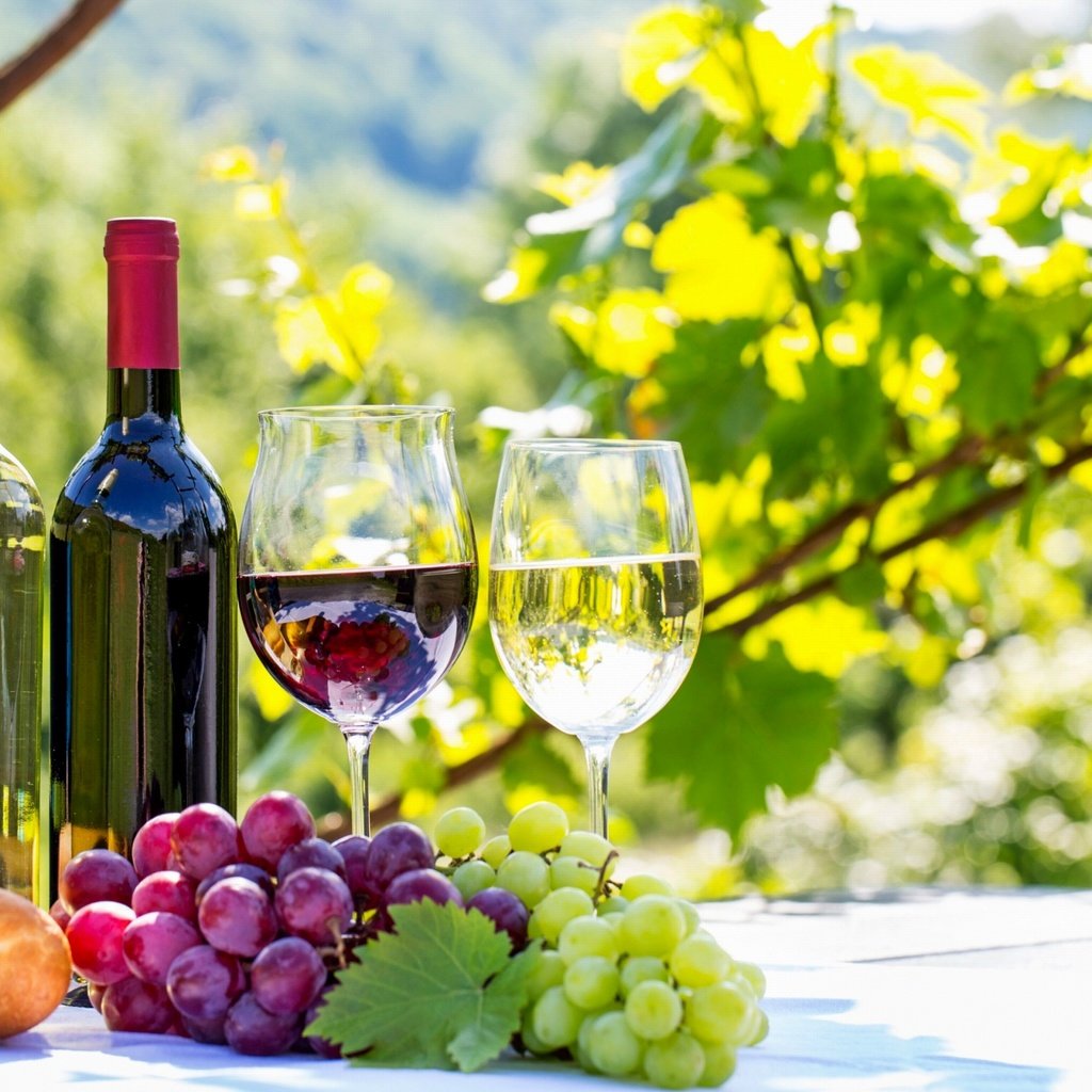 Обои виноград, бутылек, cтекло, фрукты, вино, стекло, бутылка, вина, fruits, красное вино, белое вино, grapes, fruit, wine, glass, bottle, red wine, white wine разрешение 2560x1600 Загрузить