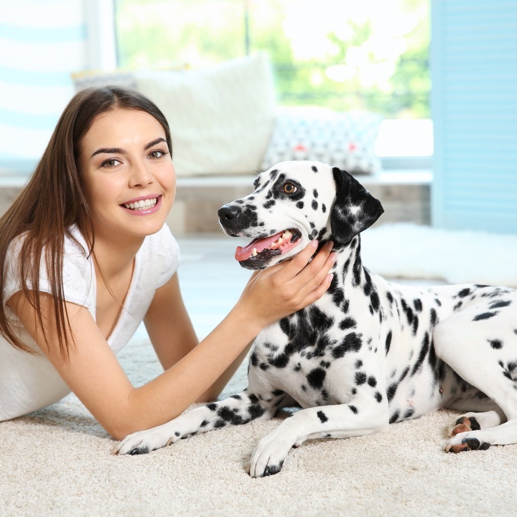 Обои девушка, улыбка, собака, далматин, cобака, dog-dalmatian-sobaka-dalmatin.jpg далматин, girl, smile, dog, dalmatian, dog-dalmatian-sobaka-dalmatin.jpg dalmatian разрешение 5648x3840 Загрузить