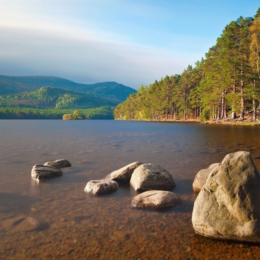 Обои вода, озеро, камни, берег, лес, отмель, water, lake, stones, shore, forest, shoal разрешение 1920x1080 Загрузить