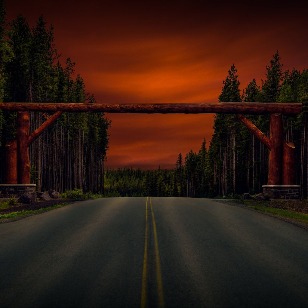 Обои дорога, деревья, лес, арка, бревна, road, trees, forest, arch, logs разрешение 6575x4215 Загрузить