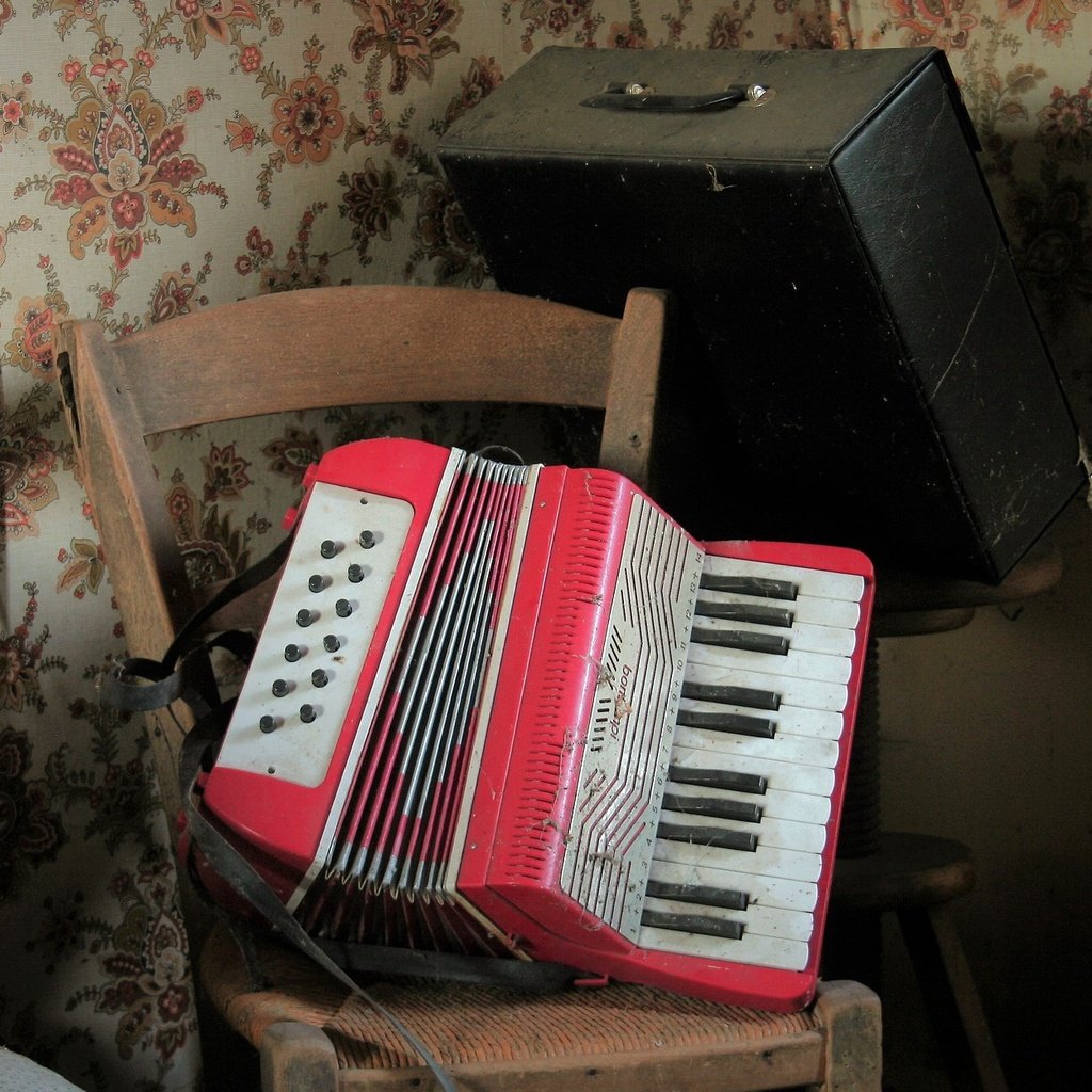 Обои музыка, инструмент, гармошка, music, tool, accordion разрешение 1980x1250 Загрузить
