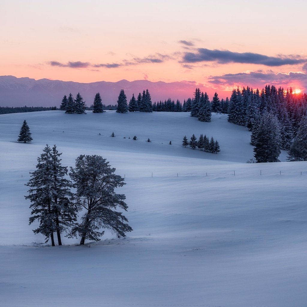 Обои солнце, закат, зима, winter sunset, the sun, sunset, winter разрешение 2048x1367 Загрузить