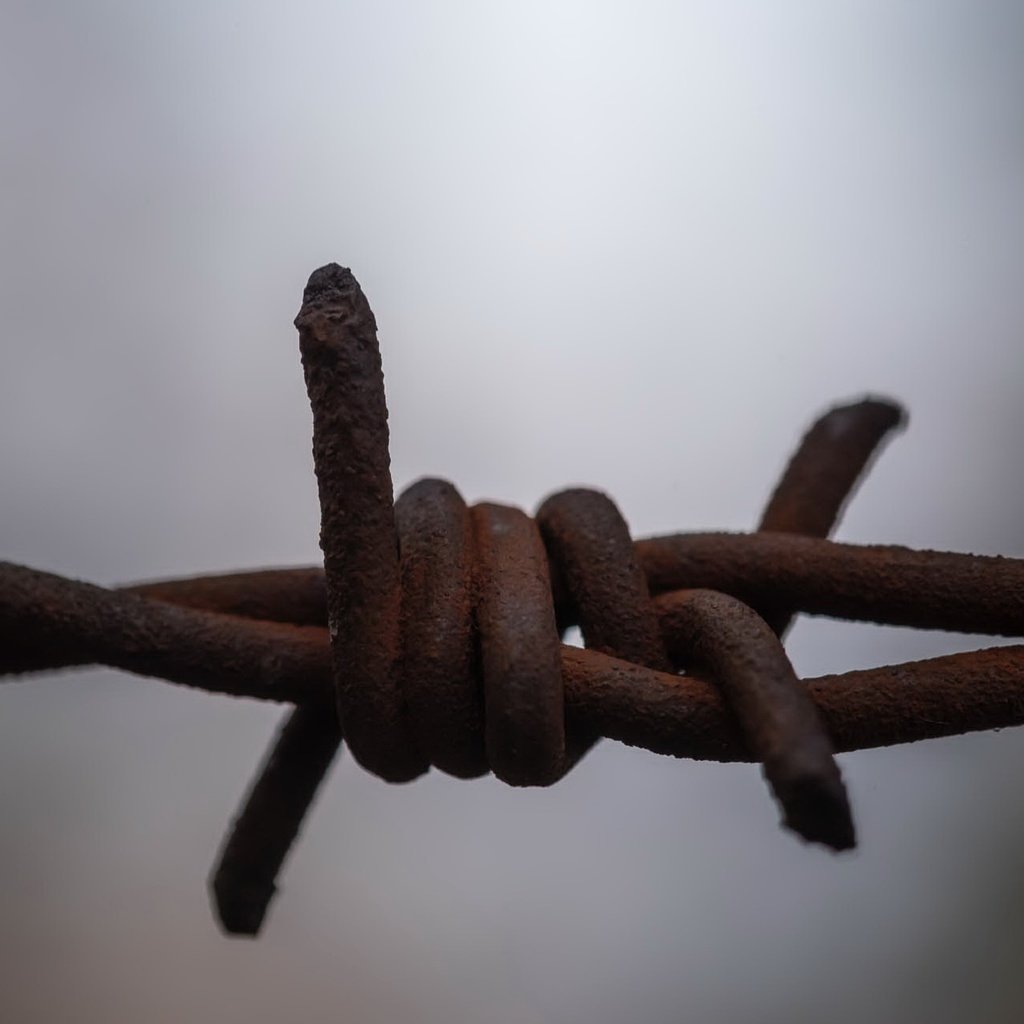 Обои макро, фон, проволока, забор, колючая проволока, macro, background, wire, the fence, barbed wire разрешение 2047x1285 Загрузить