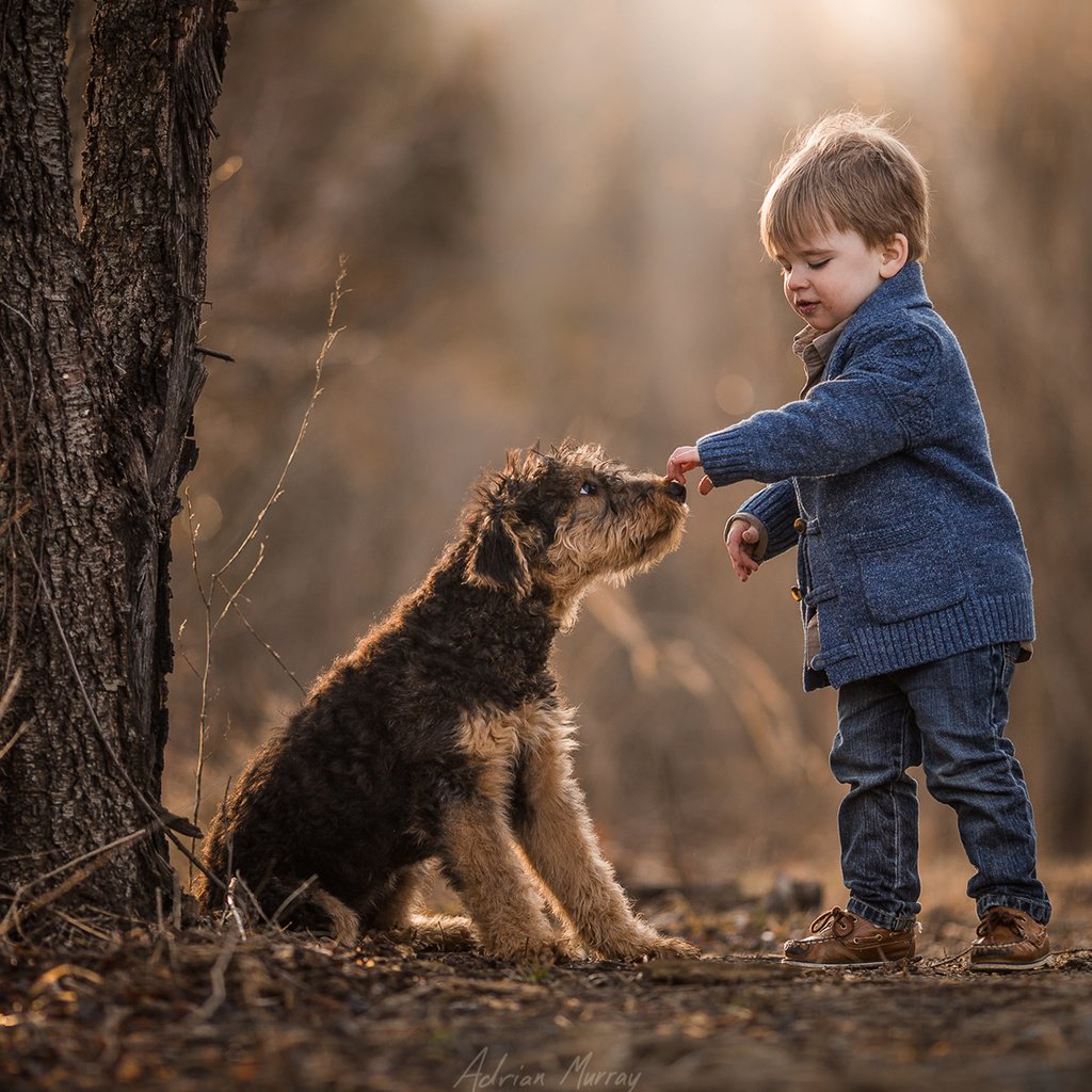 Обои собака, мальчик, друзья, dog, boy, friends разрешение 1920x1200 Загрузить