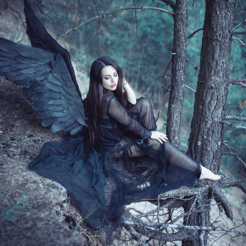 Обои лес, девушка, крылья, ангел, черные крылья, forest, girl, wings, angel, black wings разрешение 5616x3744 Загрузить