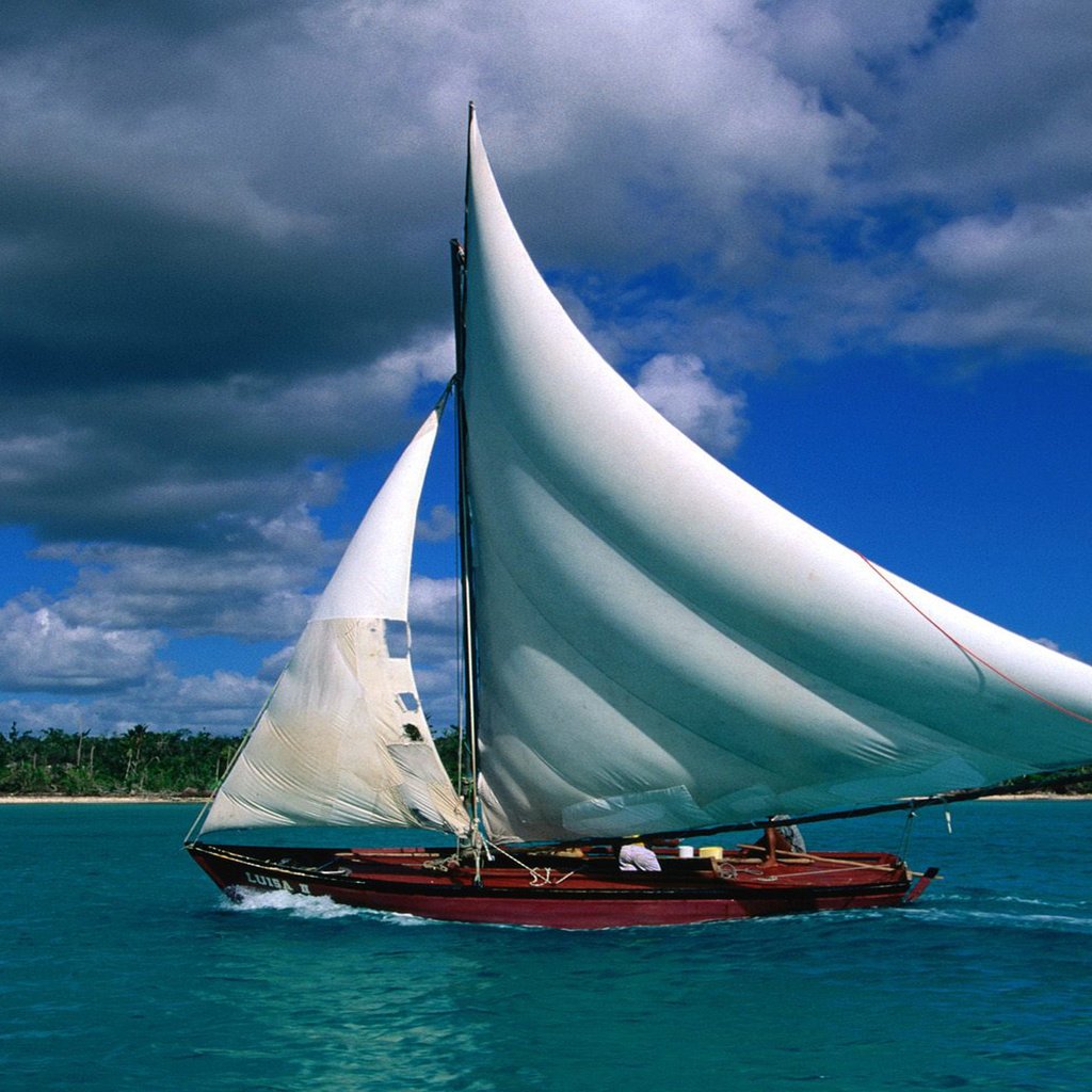 Обои море, лодка, пальмы, парус, sea, boat, palm trees, sail разрешение 2560x1600 Загрузить