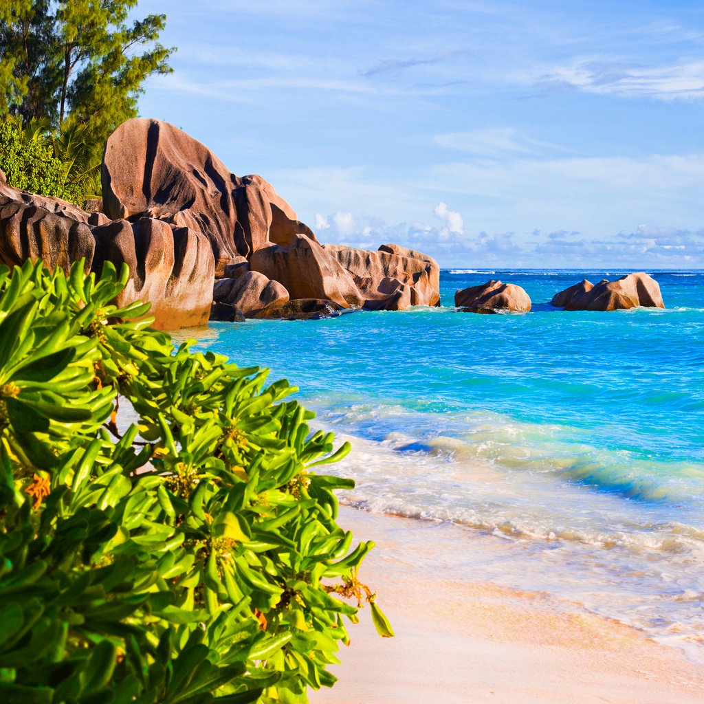 Обои море, песок, пляж, отдых, тропики, сейшелы, sea, sand, beach, stay, tropics, seychelles разрешение 6350x3572 Загрузить