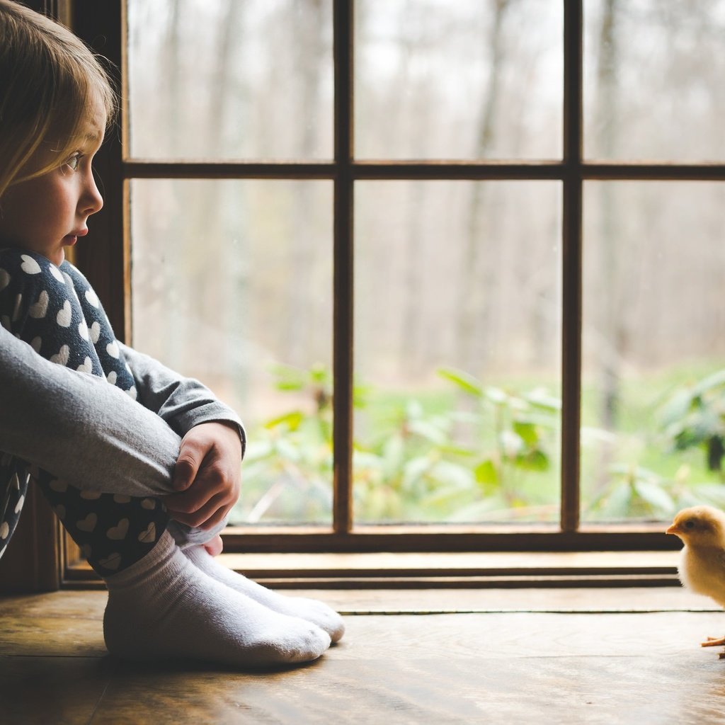 Обои дети, девочка, ребенок, окно, цыплёнок, подоконник, children, girl, child, window, chicken, sill разрешение 2048x1365 Загрузить