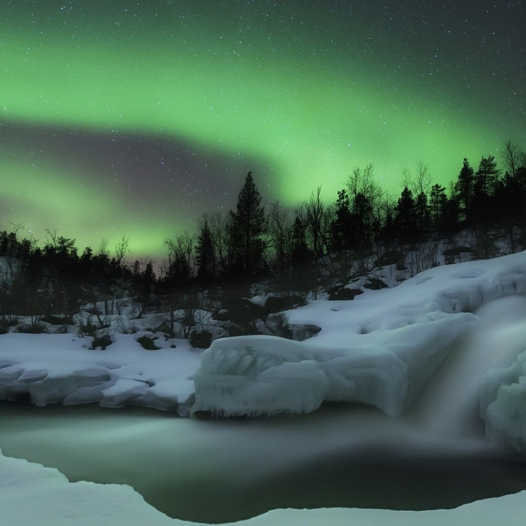 Обои снег, лес, северное сияние, скандинавия, snow, forest, northern lights, scandinavia разрешение 1920x1200 Загрузить