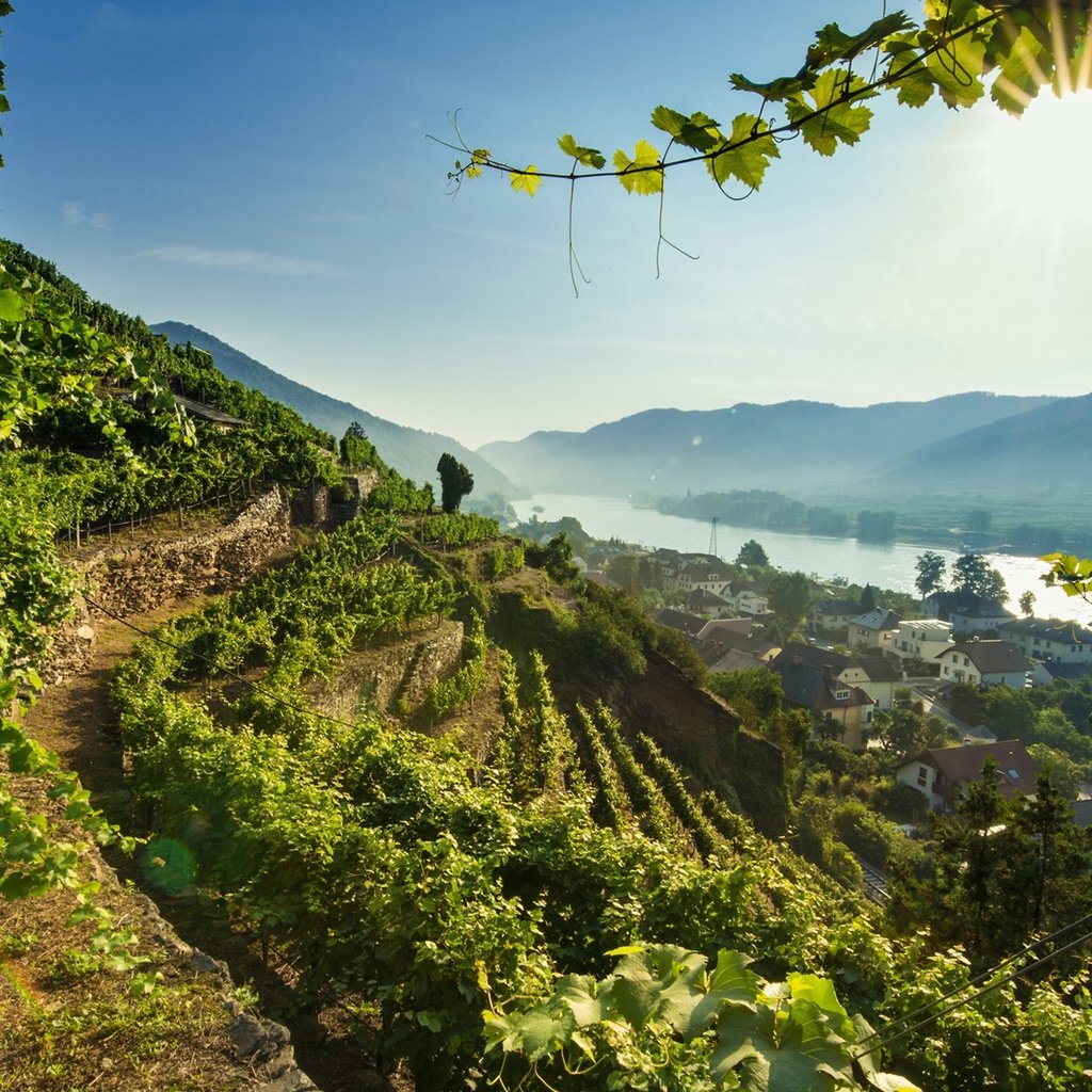 Обои река, австрия, долина, дунай, вахау, river, austria, valley, the danube, wachau разрешение 1920x1210 Загрузить