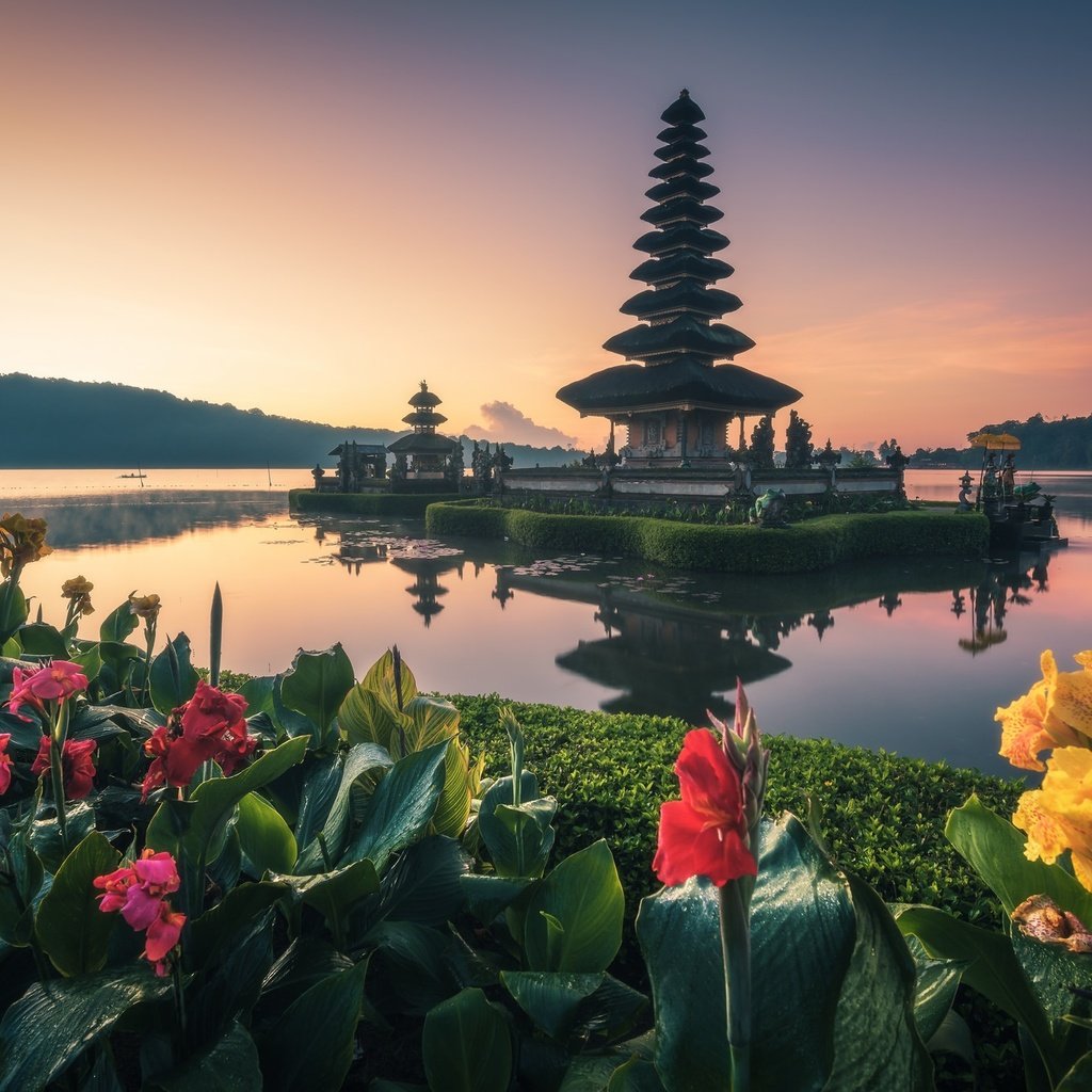 Обои цветы, вода, храм, бали, канна, flowers, water, temple, bali, kanna разрешение 2048x1367 Загрузить