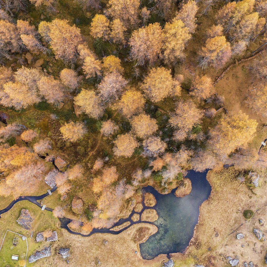 Обои деревья, природа, вид сверху, осень, водоемы, trees, nature, the view from the top, autumn, ponds разрешение 2500x1418 Загрузить