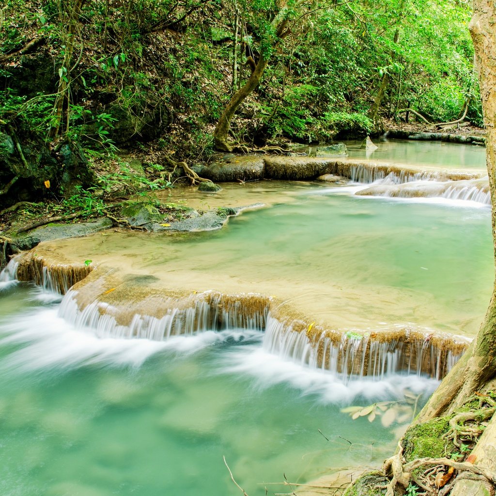 Обои река, лес, водопад, джунгли, ландшафт, тропическая, river, forest, waterfall, jungle, landscape, tropical разрешение 3500x2318 Загрузить