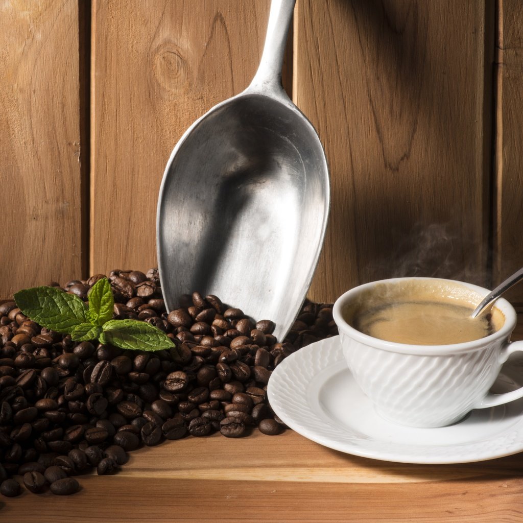 Обои мята, зерна, кофе, чашка, кофейные зерна, совок, mint, grain, coffee, cup, coffee beans, scoop разрешение 6618x4692 Загрузить