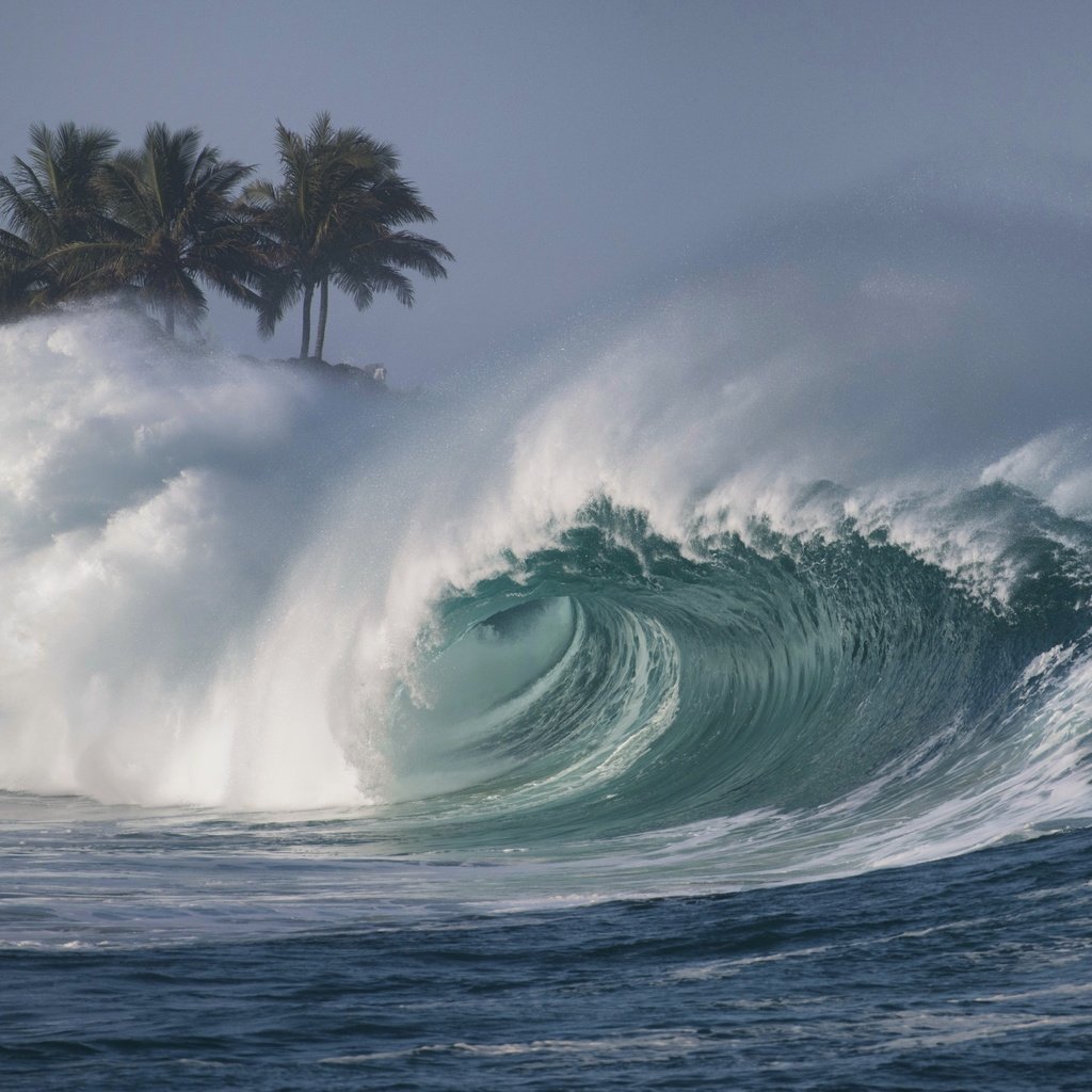 Обои вода, волны, море, волна, брызги, океан, water, wave, sea, squirt, the ocean разрешение 5175x3455 Загрузить