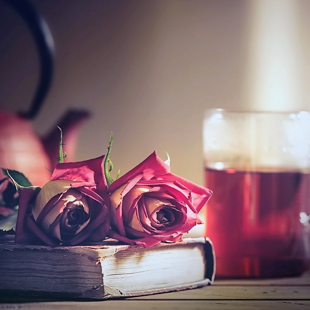 Обои цветы, розы, кружка, чай, книга, flowers, roses, mug, tea, book разрешение 1920x1200 Загрузить