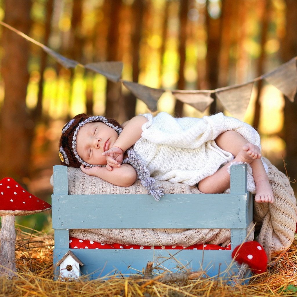 Обои природа, осень, сон, дети, ребенок, младенец, мухомор, ящик, nature, autumn, sleep, children, child, baby, mushroom, box разрешение 1920x1200 Загрузить