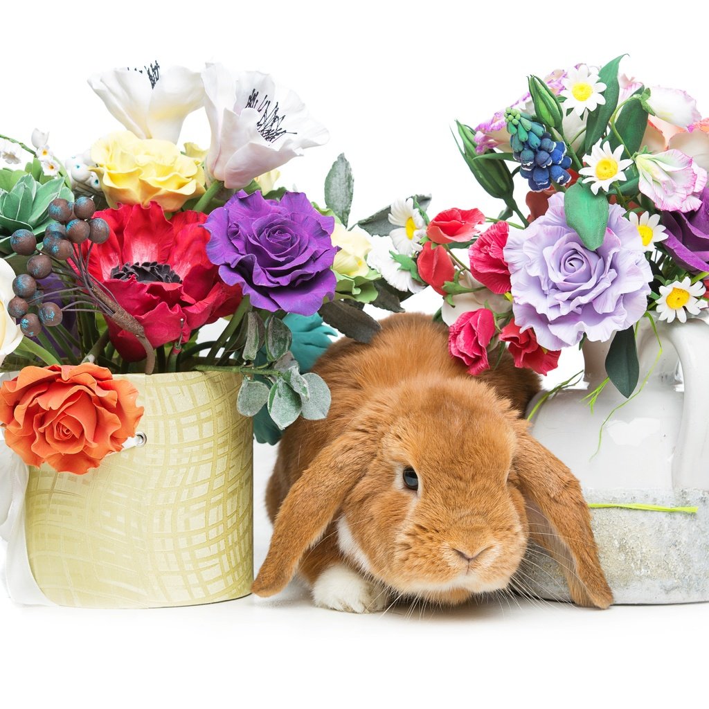 Обои цветы, корзина, кролик, пасха, flowers, basket, rabbit, easter разрешение 5518x3679 Загрузить