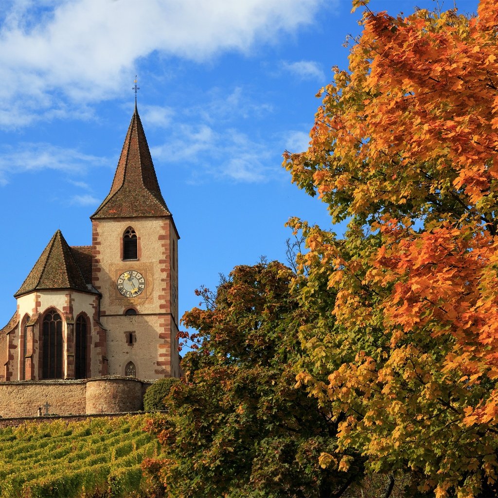 Обои деревья, осень, церковь, франция, hunawihr, church saint-jacques-le-majeur, церковь сен-жак-ле-мажёр, юнавир, trees, autumn, church, france, church of saint-jacques-le-mazher, the hunawihr разрешение 2500x1581 Загрузить