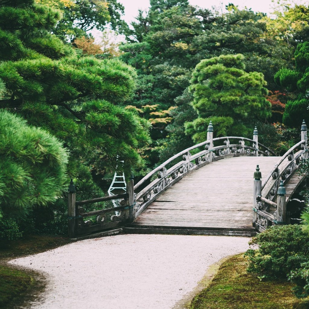 Обои деревья, природа, парк, мост, сад, trees, nature, park, bridge, garden разрешение 2048x1152 Загрузить