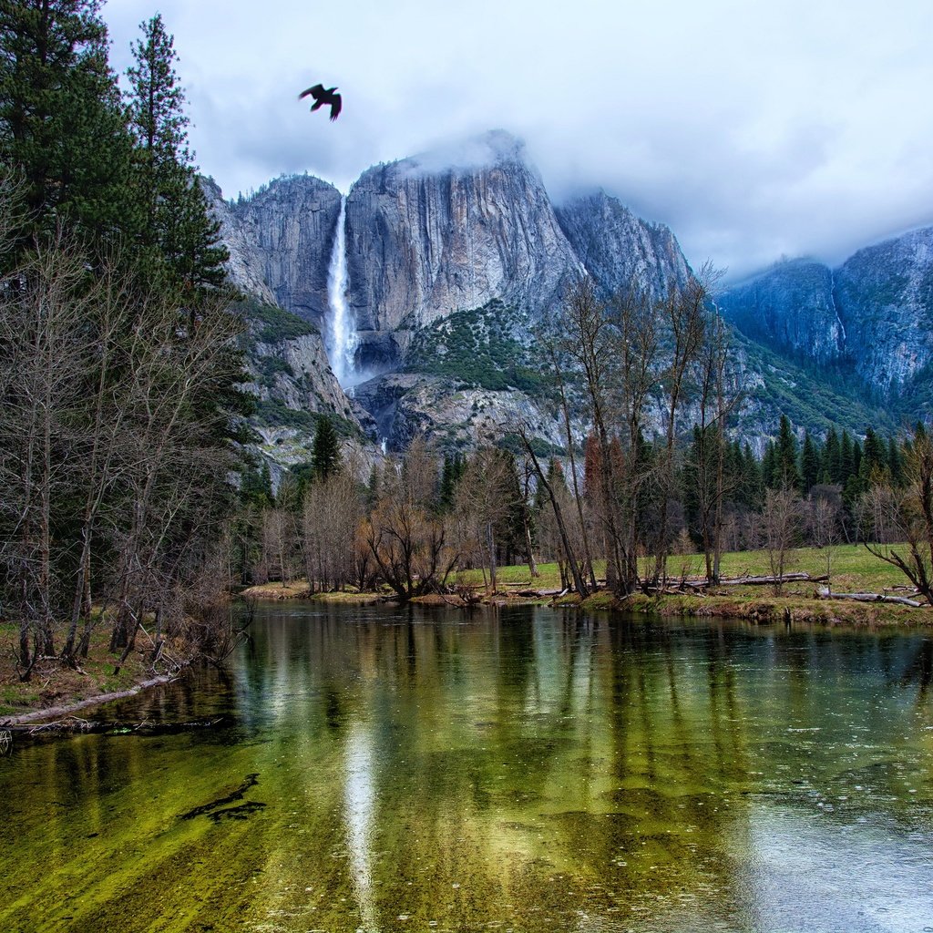 Обои деревья, йосемити, река, горы, скалы, лес, водопад, птица, сша, trees, yosemite, river, mountains, rocks, forest, waterfall, bird, usa разрешение 3000x2000 Загрузить