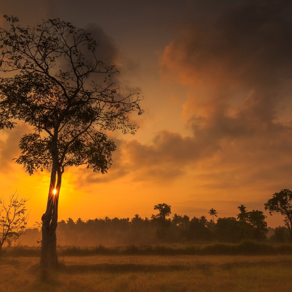 Обои небо, облака, деревья, закат, зарево, the sky, clouds, trees, sunset, glow разрешение 2048x1242 Загрузить