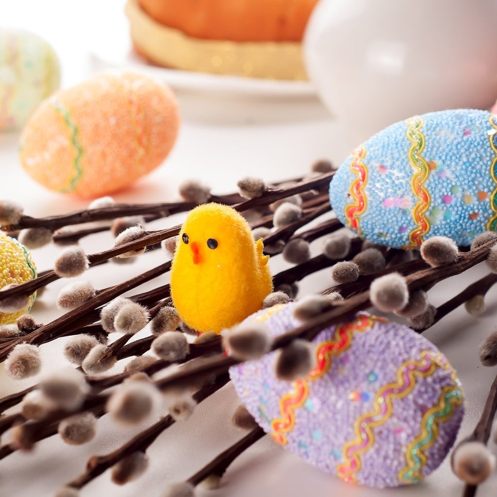 Обои ветки, пасха, яйца, праздник, цыплёнок, верба, крашенки, branches, easter, eggs, holiday, chicken, verba разрешение 2048x1360 Загрузить