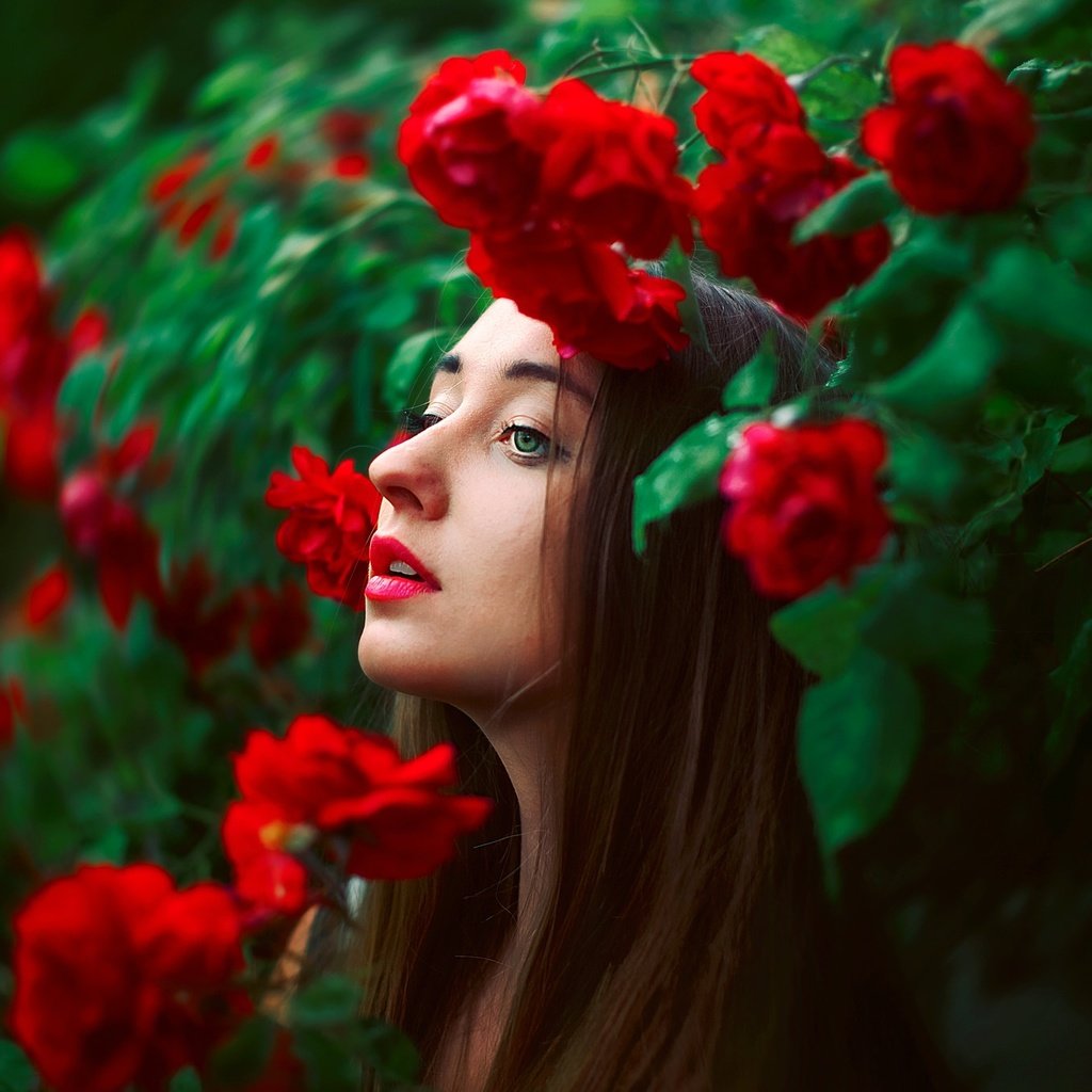 Обои цветы, лицо, природа, девушка, розы, модель, профиль, волосы, губы, flowers, face, nature, girl, roses, model, profile, hair, lips разрешение 2048x1365 Загрузить