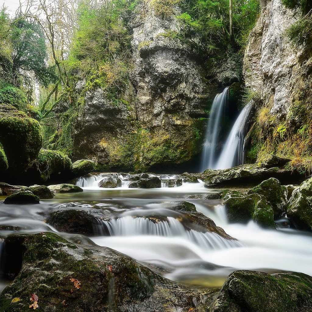 Обои деревья, вода, камни, водопад, мох, потоки, trees, water, stones, waterfall, moss, threads разрешение 2048x1152 Загрузить