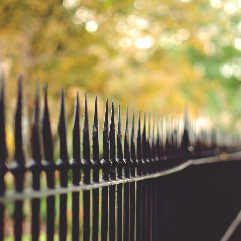 Обои забор, ограда, боке, the fence, fence, bokeh разрешение 2048x1360 Загрузить