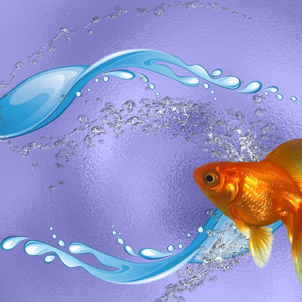 Обои вода, золотая рыбка, рыба, ааа, еееее, water, goldfish, fish разрешение 1920x1080 Загрузить