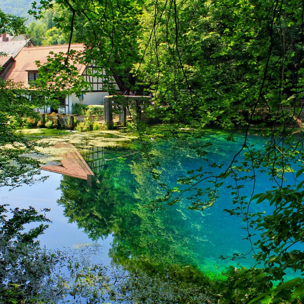 Обои деревья, отражение, ветки, сад, пруд, trees, reflection, branches, garden, pond разрешение 3750x2500 Загрузить