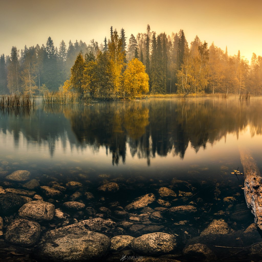 Обои деревья, озеро, лес, отражение, туман, осень, пруд, trees, lake, forest, reflection, fog, autumn, pond разрешение 2048x1083 Загрузить