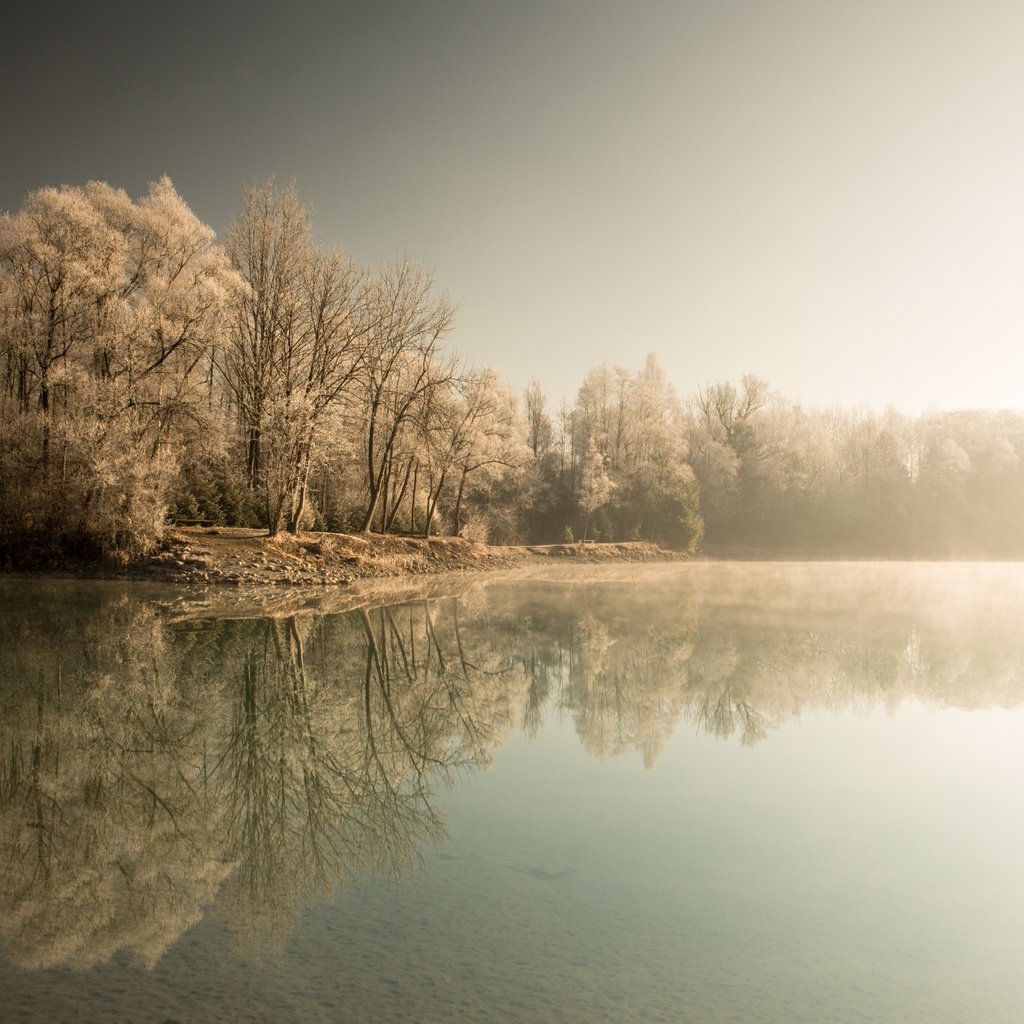 Обои деревья, озеро, лес, зима, туман, trees, lake, forest, winter, fog разрешение 2560x1613 Загрузить