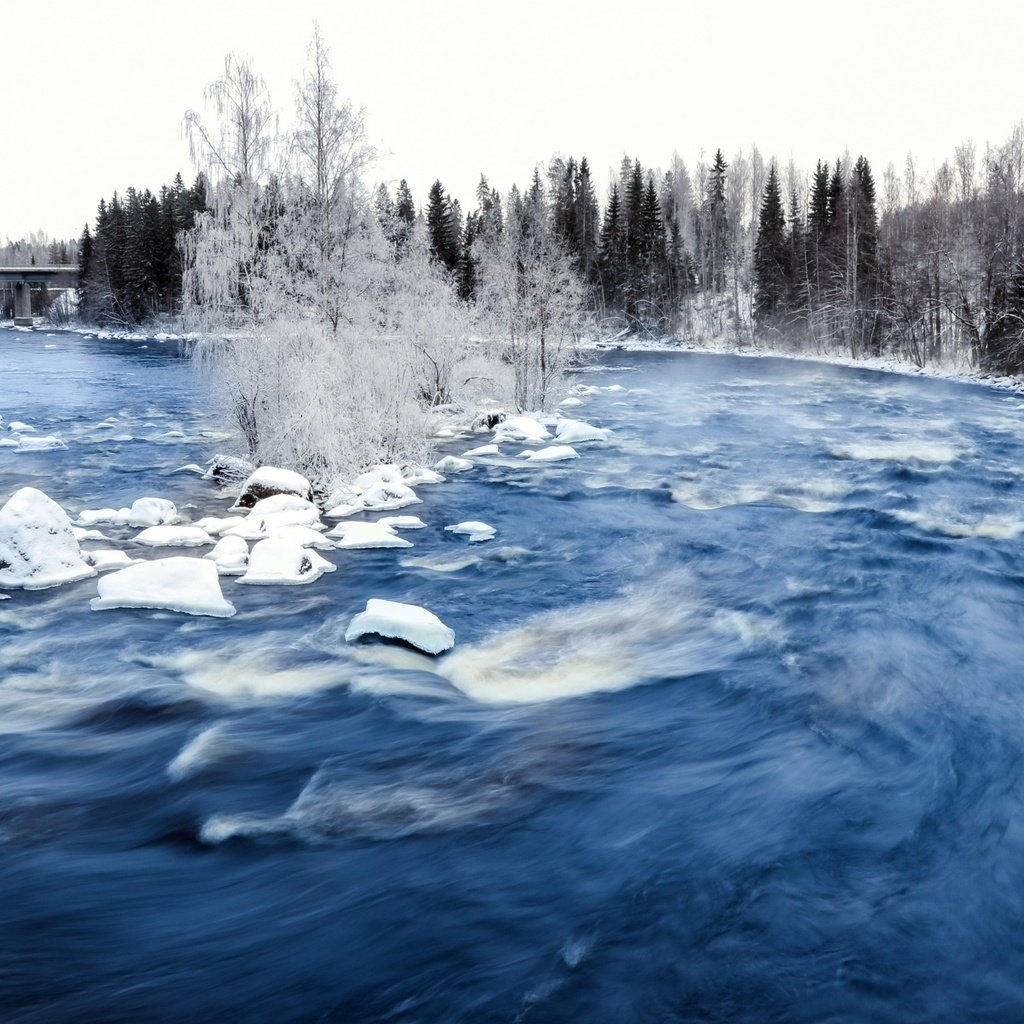 Обои деревья, река, снег, зима, мост, лёд, течение, trees, river, snow, winter, bridge, ice, for разрешение 2560x1600 Загрузить